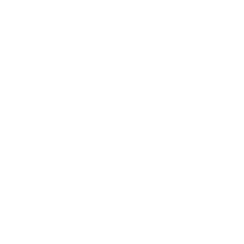 RZ Dream Homes Logo - White