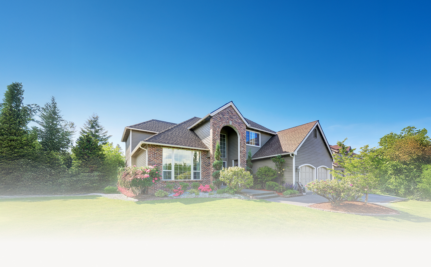 Featured image for “Blackdale Estates”